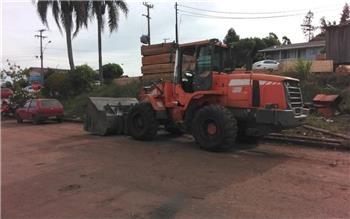 Doosan DL 200