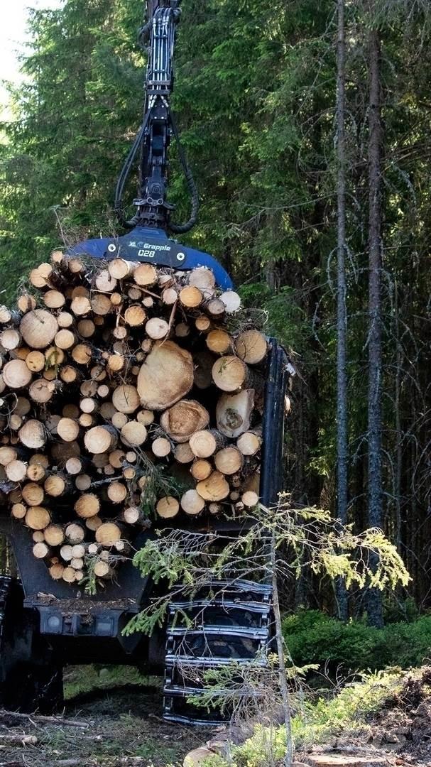  XL Grapple 028 Pinzas