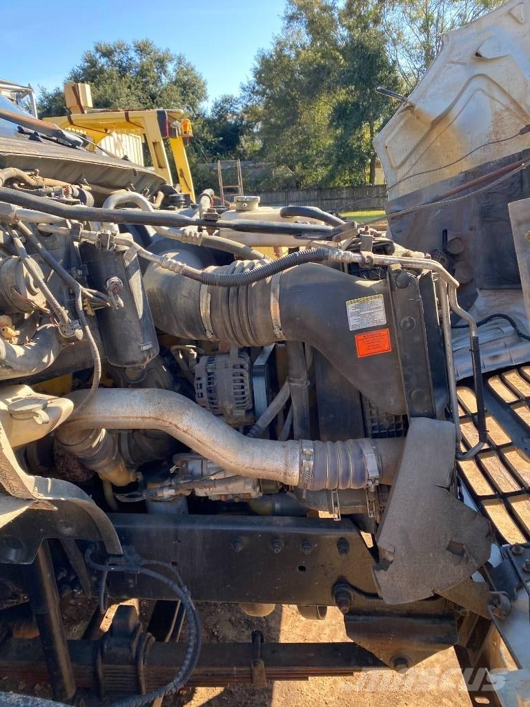 Ford F 650 SD Bañeras basculantes usadas