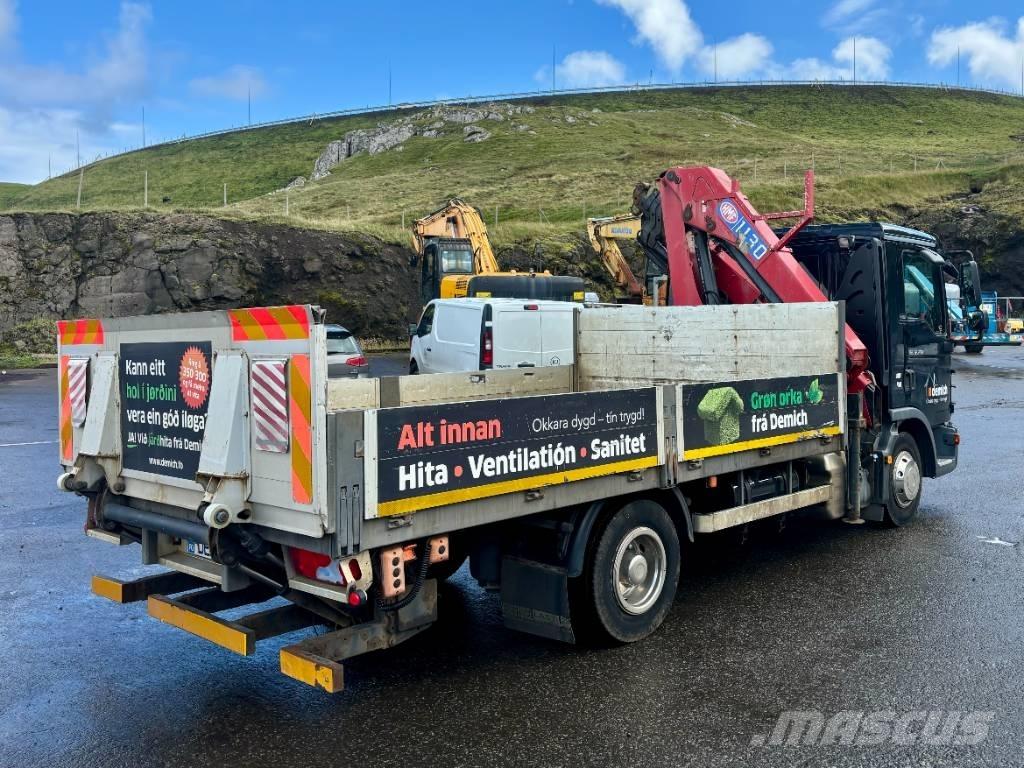 MAN TGL 12.250 Camiones grúa