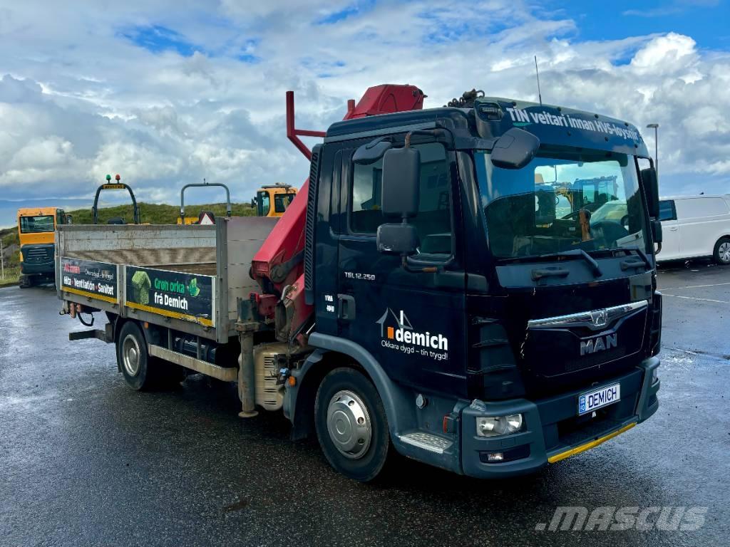 MAN TGL 12.250 Camiones grúa