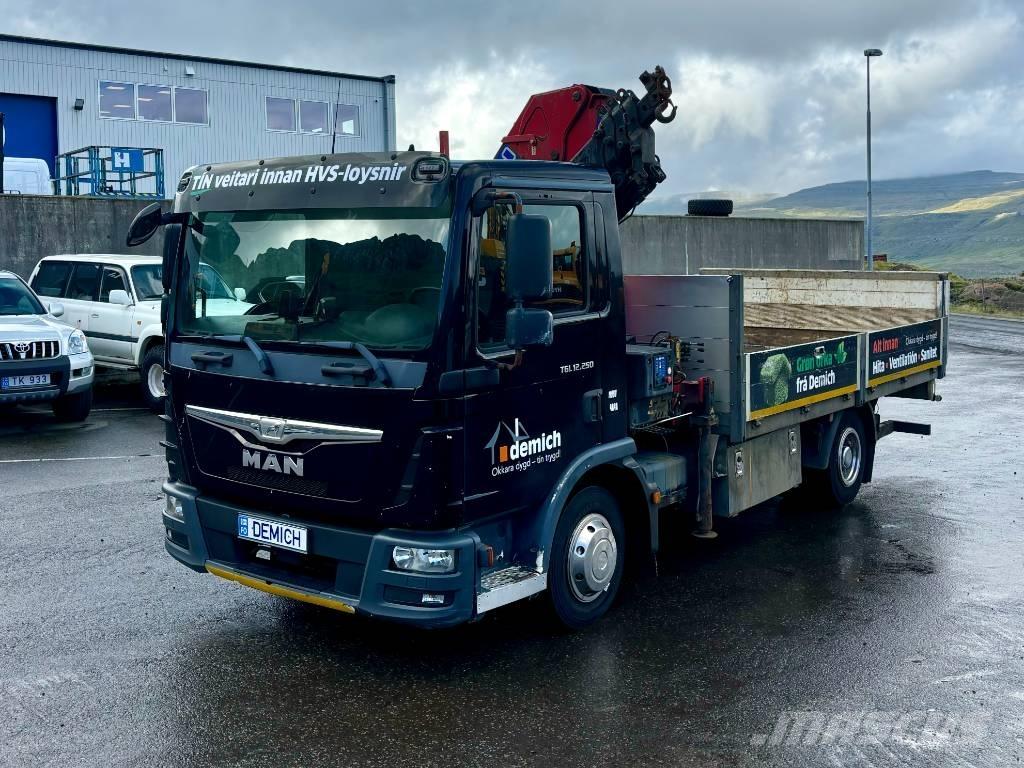 MAN TGL 12.250 Camiones grúa