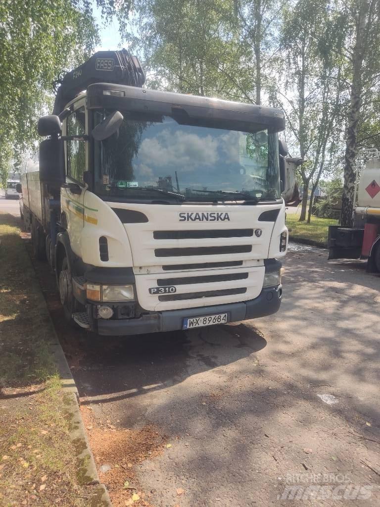 Scania P310 Camiones grúa