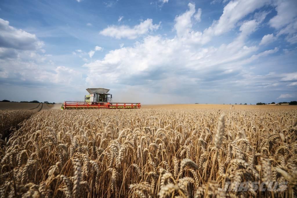 CLAAS Convio 930 Accesorios para cosechadoras combinadas