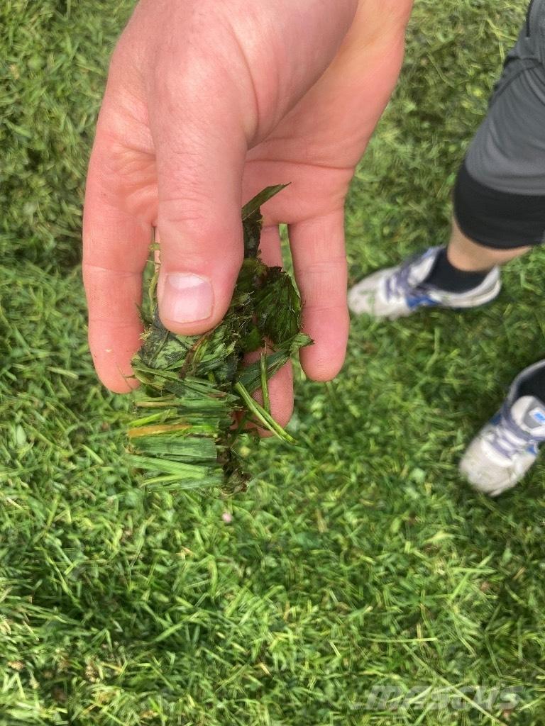 Strautmann Magnon 11 Remolques autocargadores