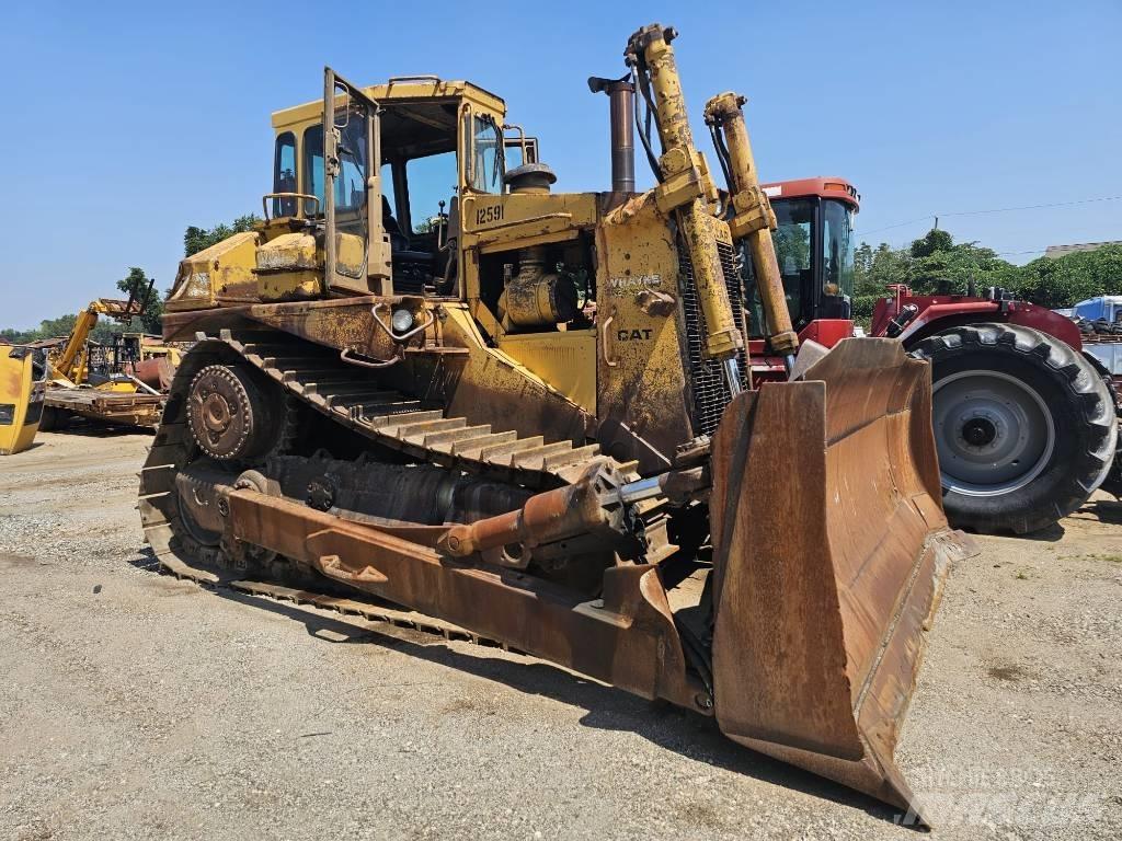 CAT D8N Buldozer sobre oruga