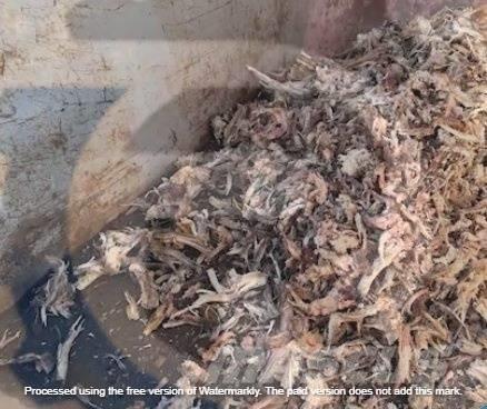 Eggersmann C14 Trituradoras de deshechos