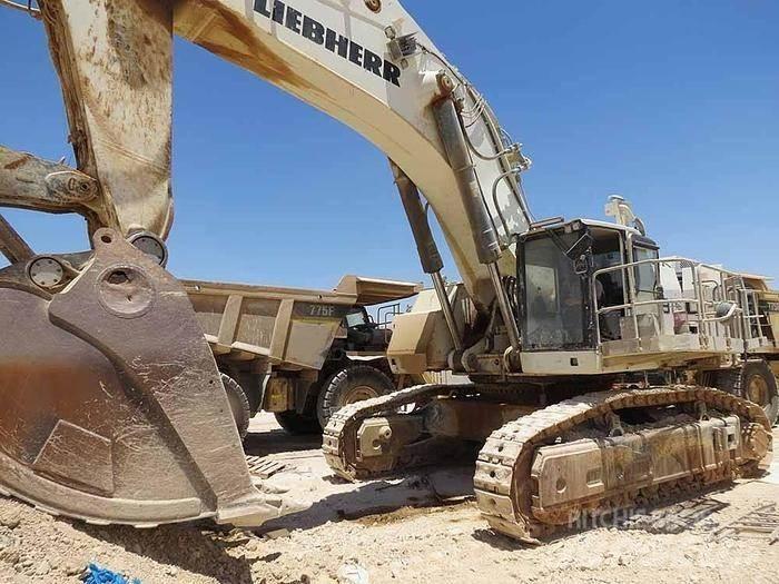 Liebherr R9150 Excavadoras especiales