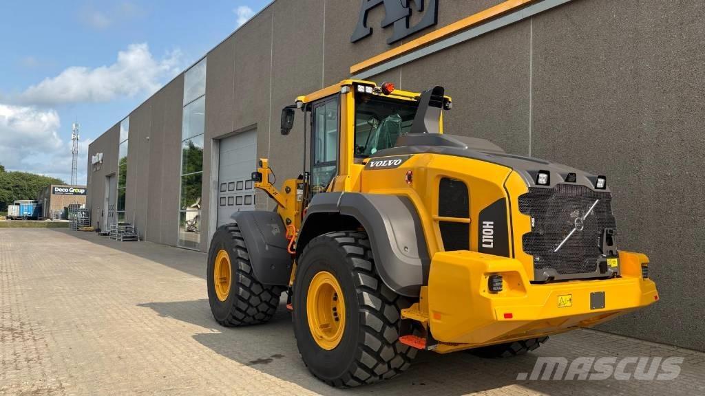 Volvo L110H Cargadoras sobre ruedas