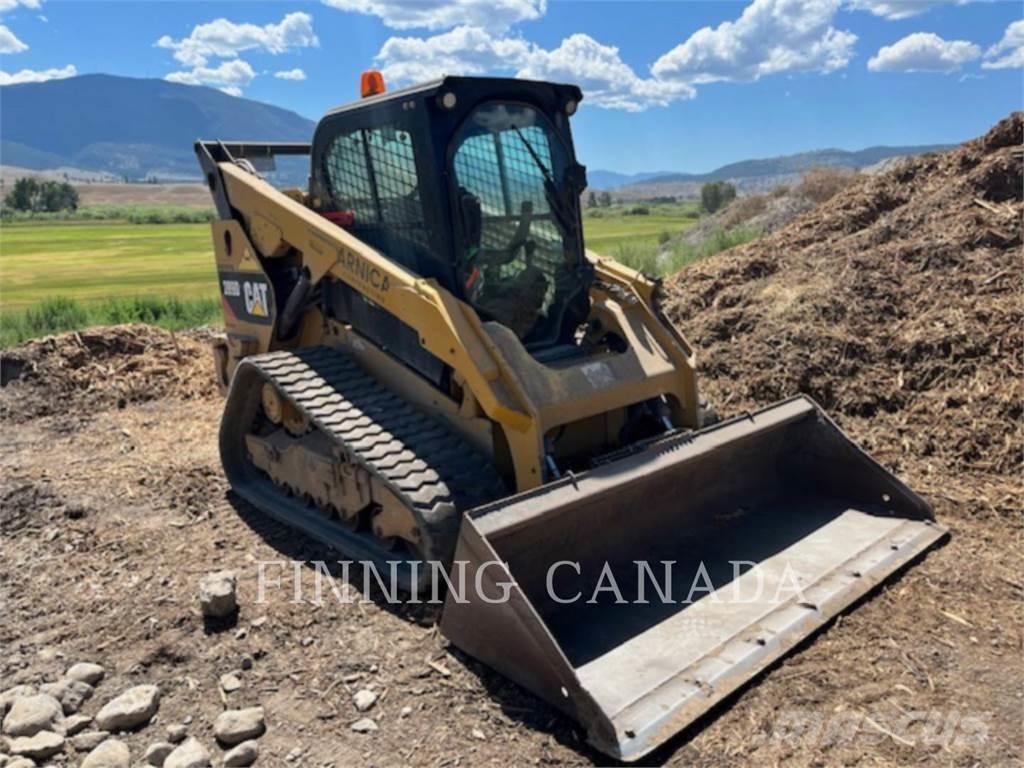 CAT 289D Cargadoras sobre orugas