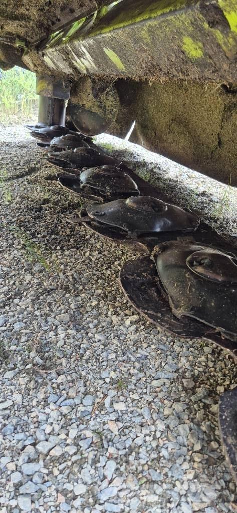 CLAAS Disco 3600 FC Podadoras