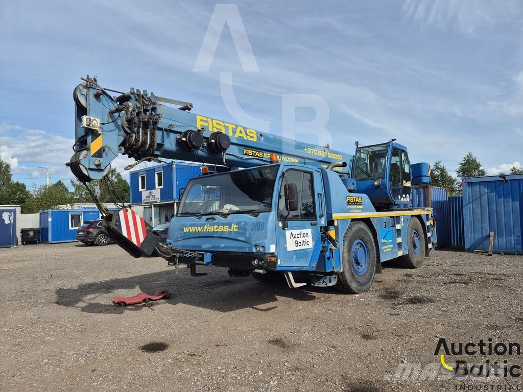 Terex AC 35 L Camiones grúa