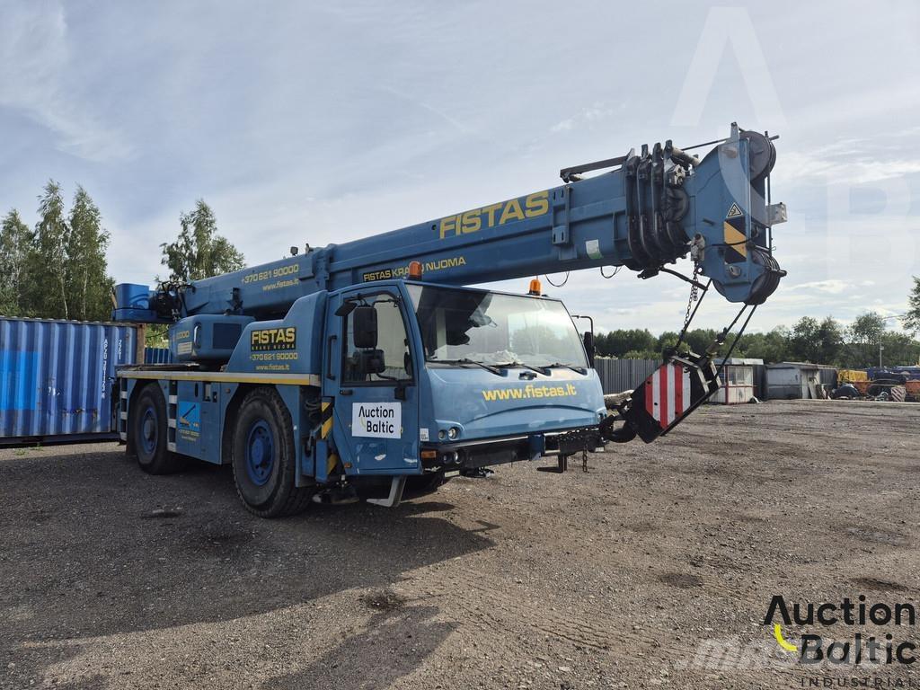 Terex AC 35 L Camiones grúa