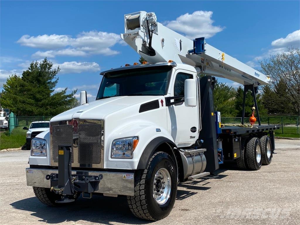 Manitex 30102 C Camiones grúa