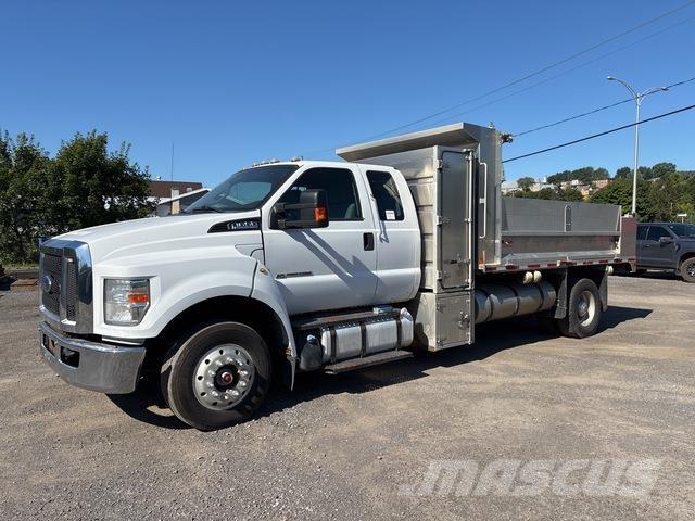 Ford F-650 Bañeras basculantes usadas