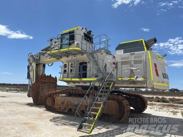 Liebherr 9200 Excavadoras sobre orugas