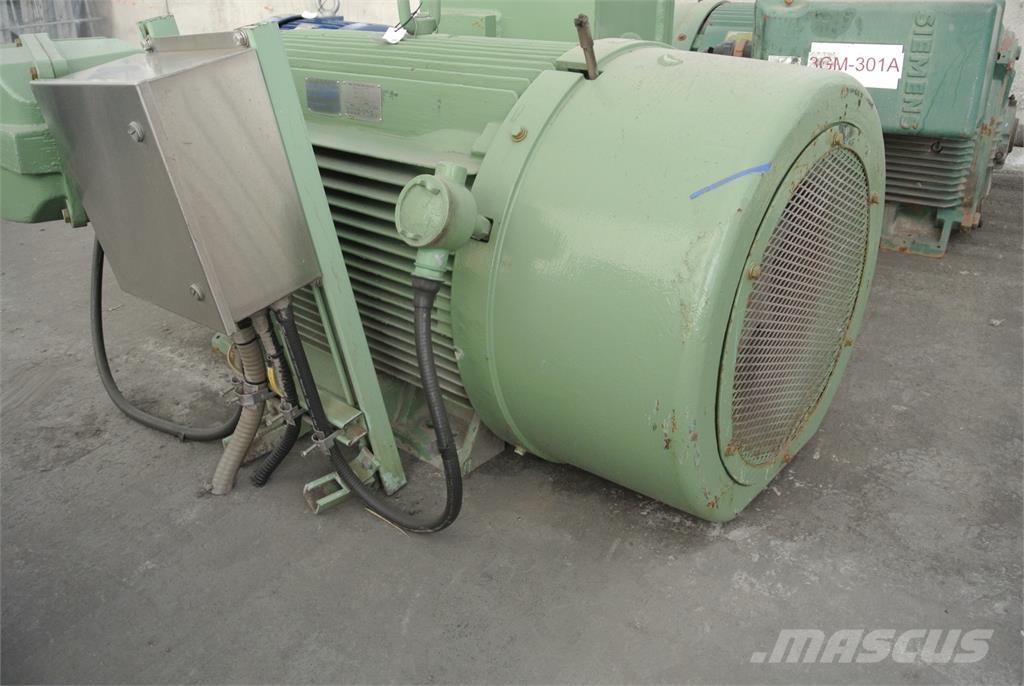 Siemens CGZZ Motores industriales