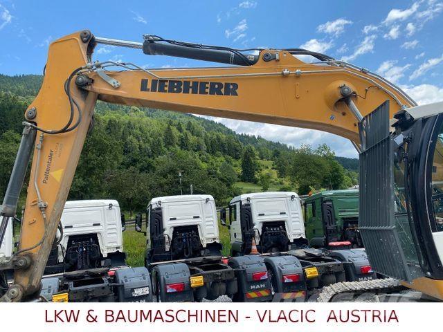 Liebherr R 924 LC Excavadoras sobre orugas