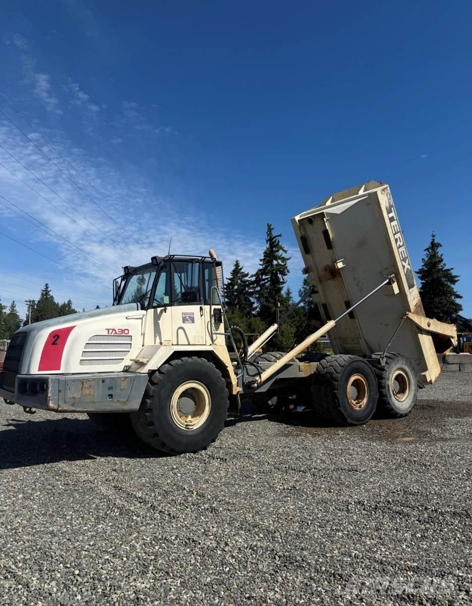 Terex TA30 Furgonetas cerradas