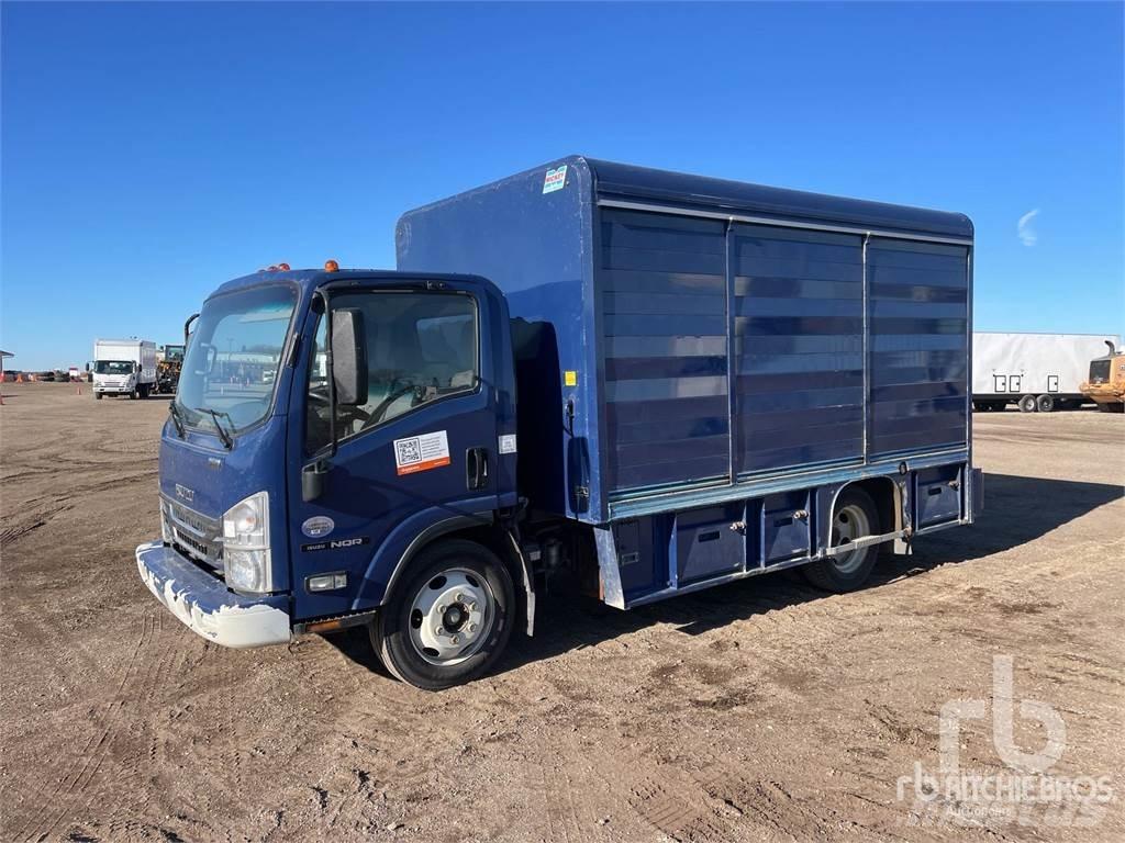 Isuzu NQR Camiones de reparto de bebidas