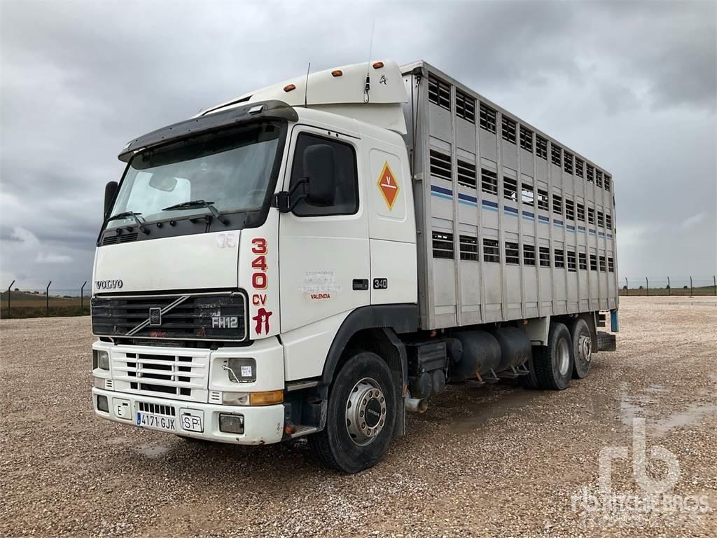 Volvo FH12 Camiones para transporte de animales