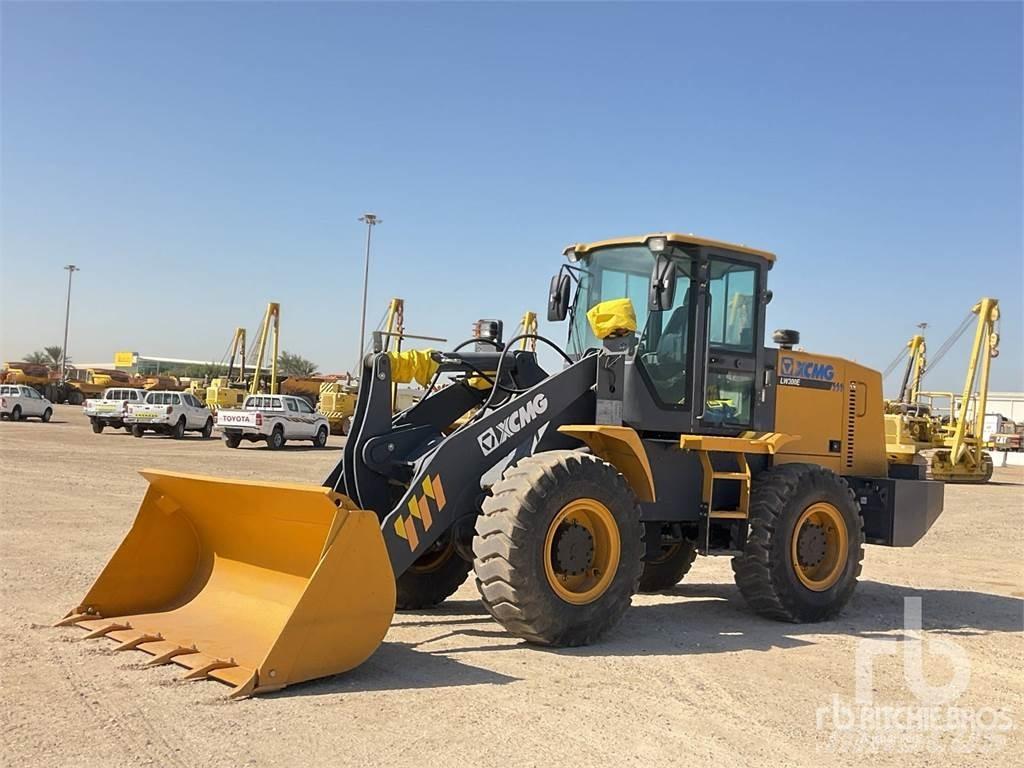 XCMG LW300E Cargadoras sobre ruedas