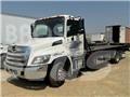 Hino 258 Camiones portacontenedores