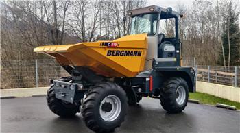 Bergmann C810s