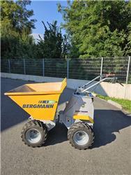 Bergmann C301M