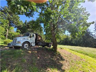 Kenworth T 300