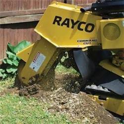 Rayco RG37T