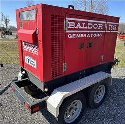 Baldor TS45