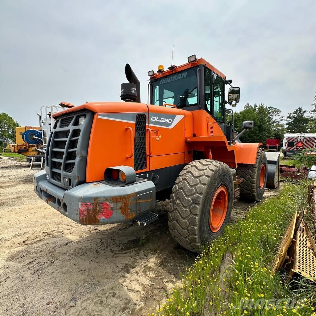 Doosan DL250-5 Cargadoras sobre ruedas