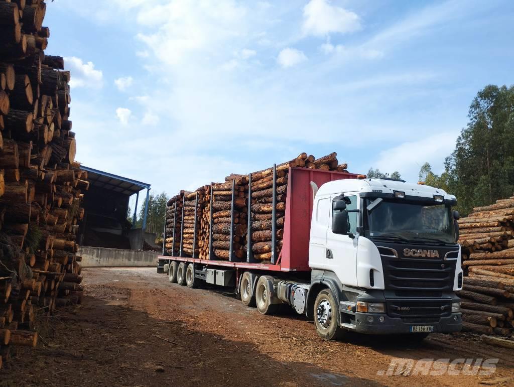 Scania R 560 Transportes de madera