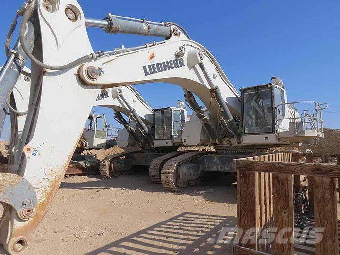 Liebherr R9100 Excavadoras especiales