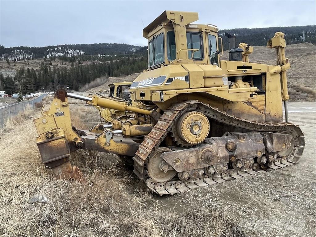 CAT D9N Buldozer sobre oruga