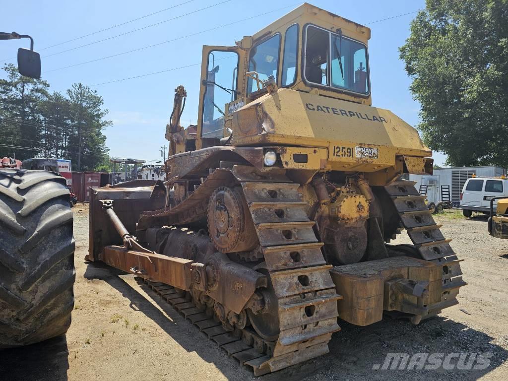 CAT D8N Buldozer sobre oruga