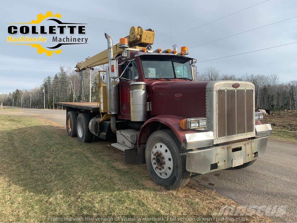 Peterbilt 379 Plataformas con jaula de elevación