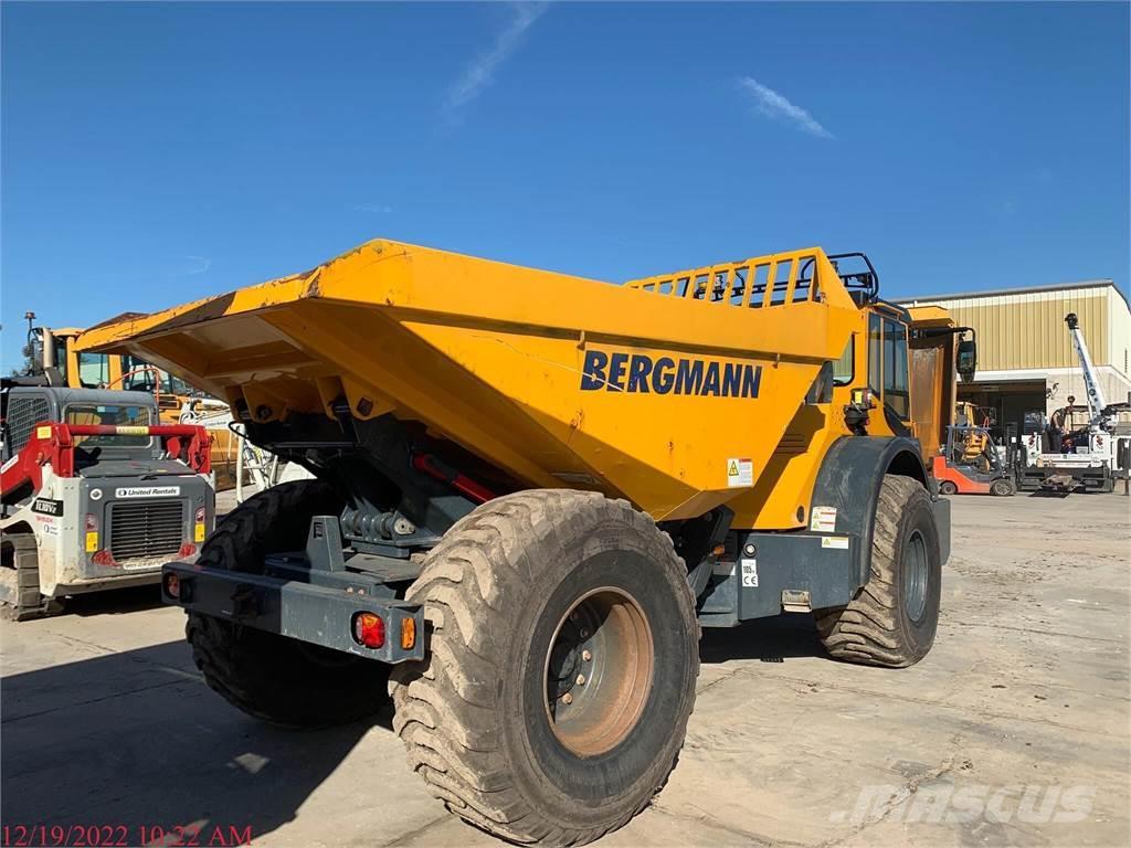 Bergmann C815S Camiones cisterna