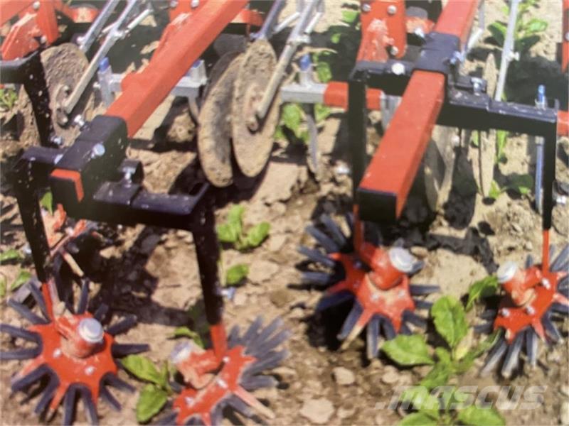 Steketee Roterende fingerrenser Equipos para limpieza del grano