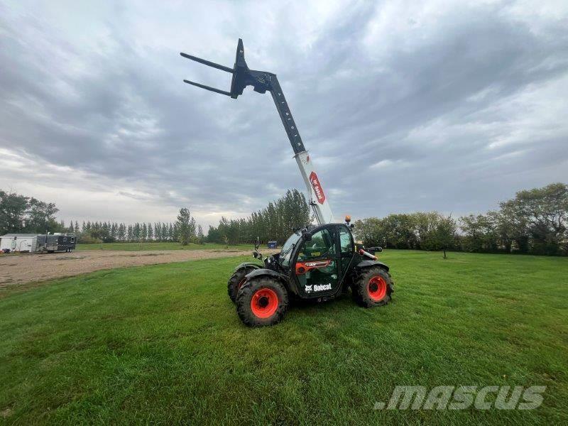 Bobcat TL619 Carretillas telescópicas