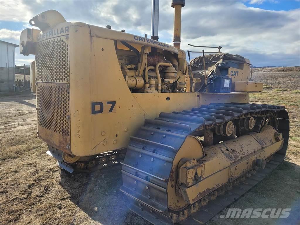 CAT D7 Buldozer sobre oruga