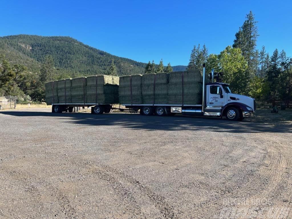 Peterbilt 579 Camiones de cama baja