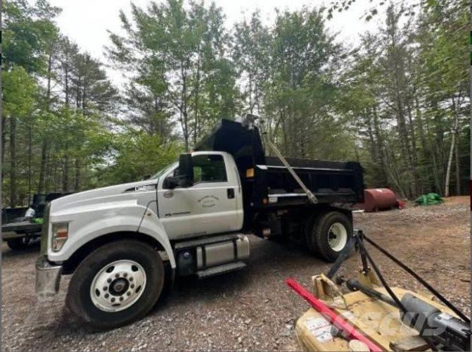 Ford F650 Bañeras basculantes usadas