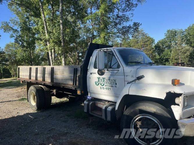 Ford F700 Bañeras basculantes usadas